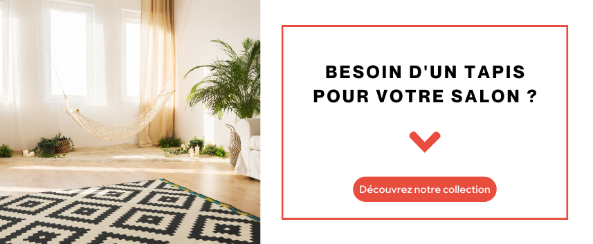 Tapis dans un salon